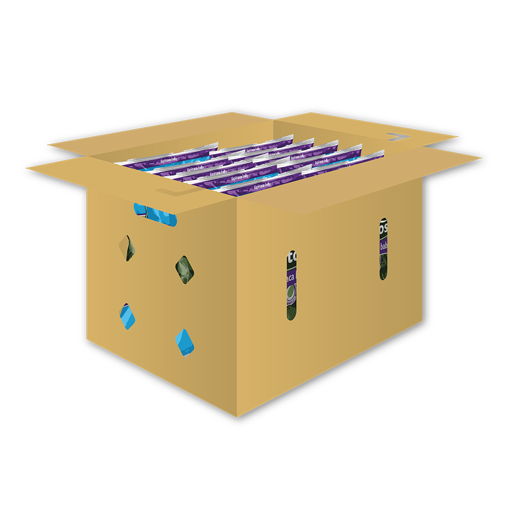 Espinaca Baby (250g) (caja de 10 pzas)