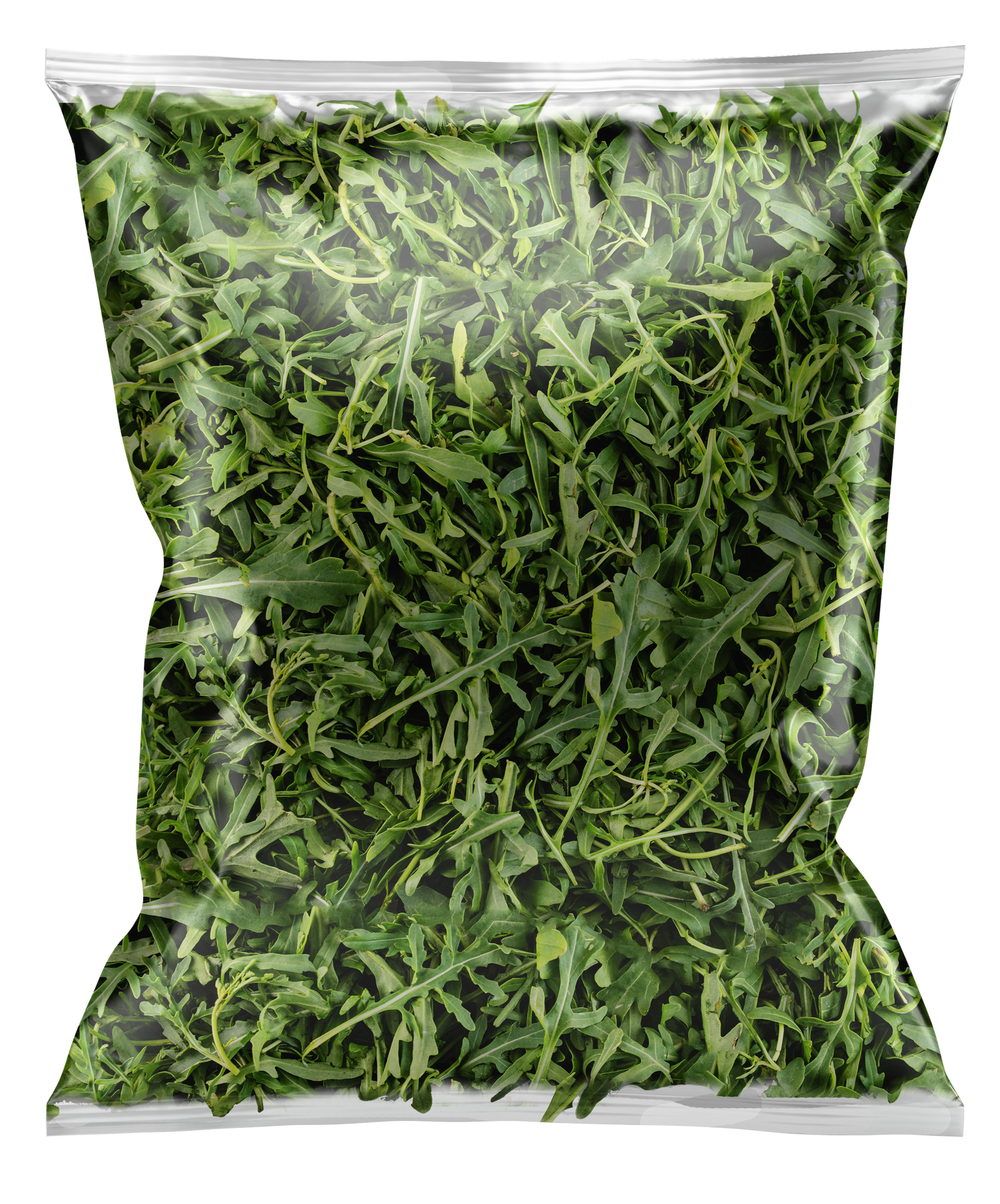 Arugula 1Kg ( caja con 1 pza)