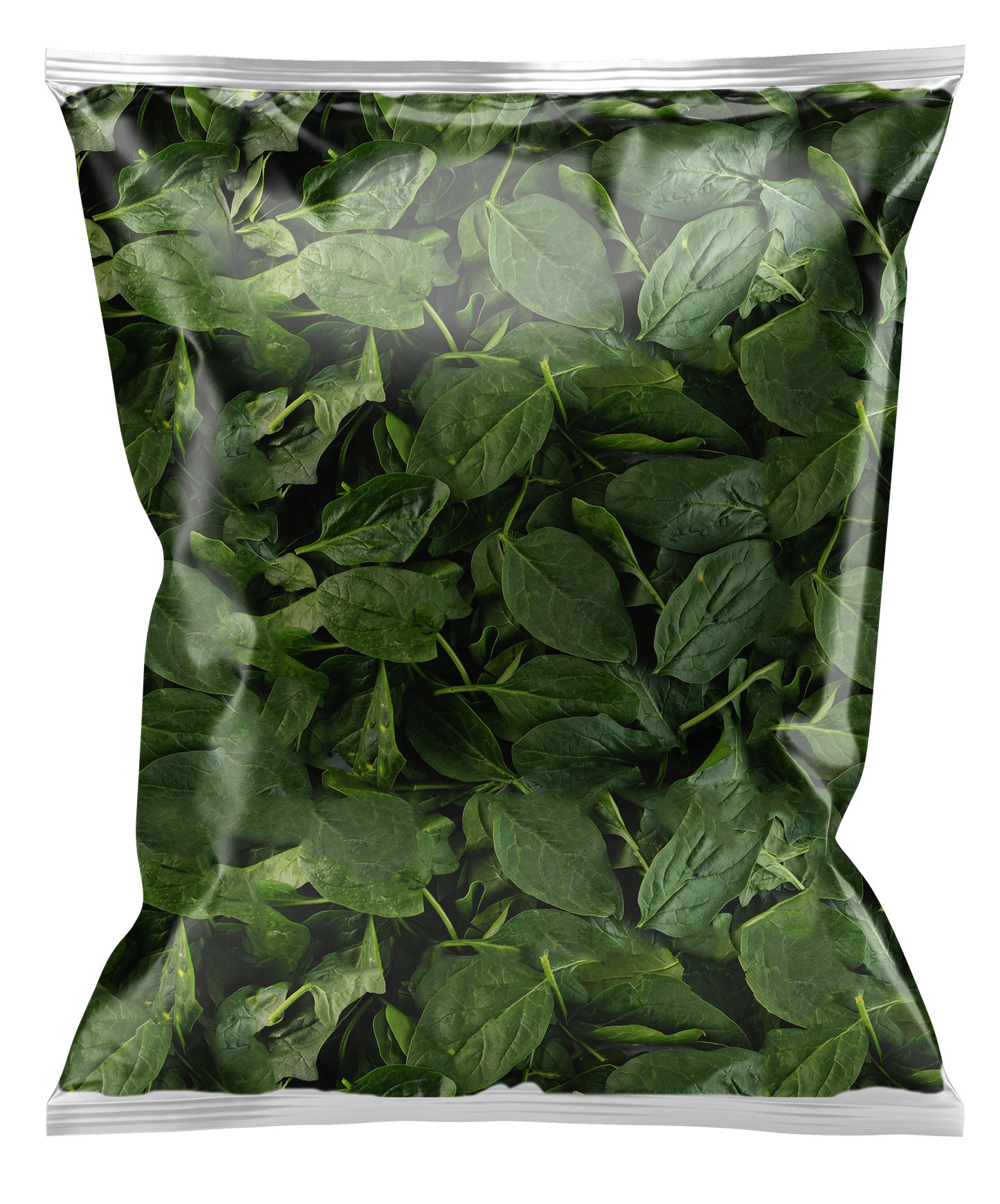 Espinaca Baby 1Kg ( caja con 5 pzas)