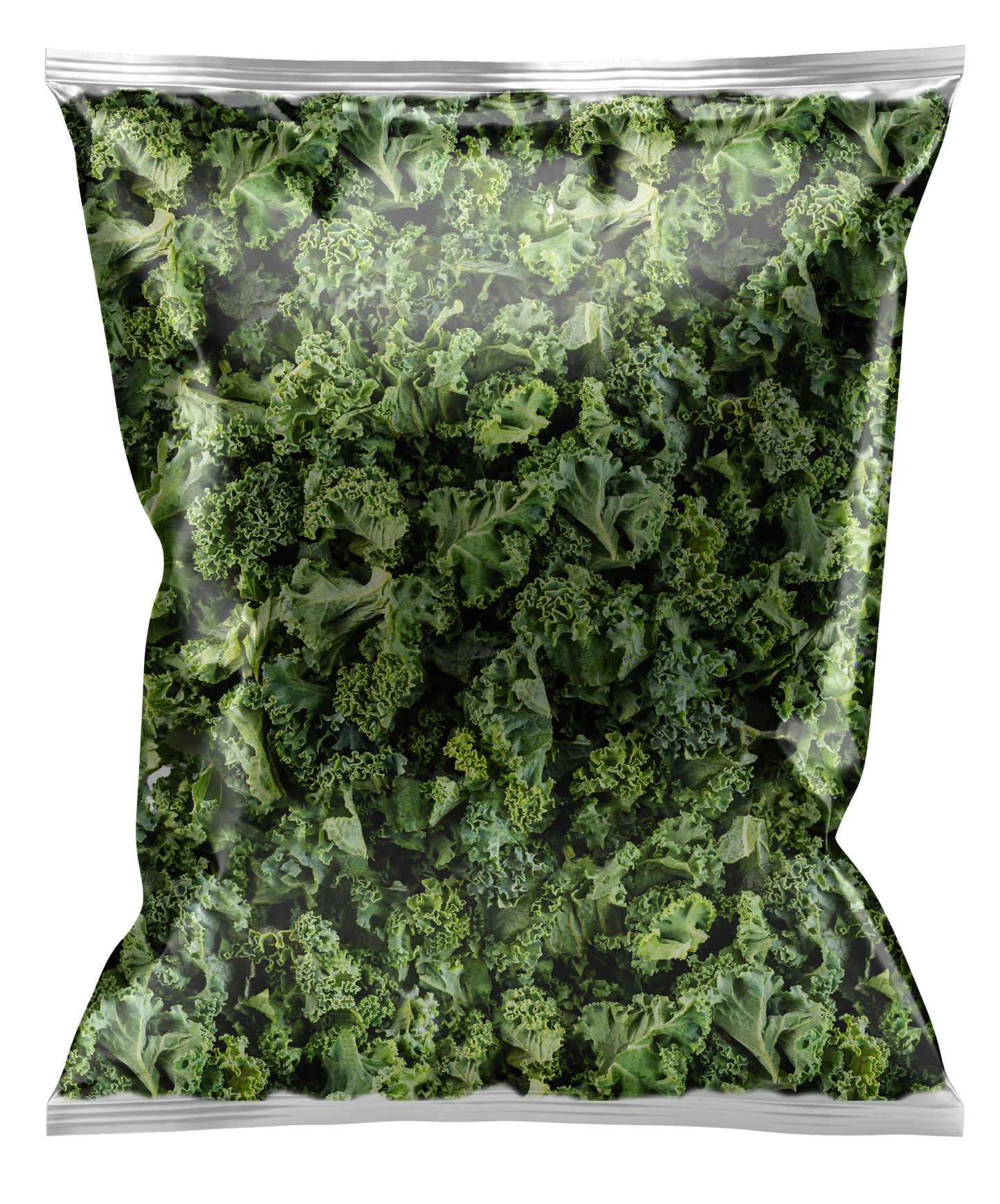 Kale 1Kg ( caja con 1 pza)