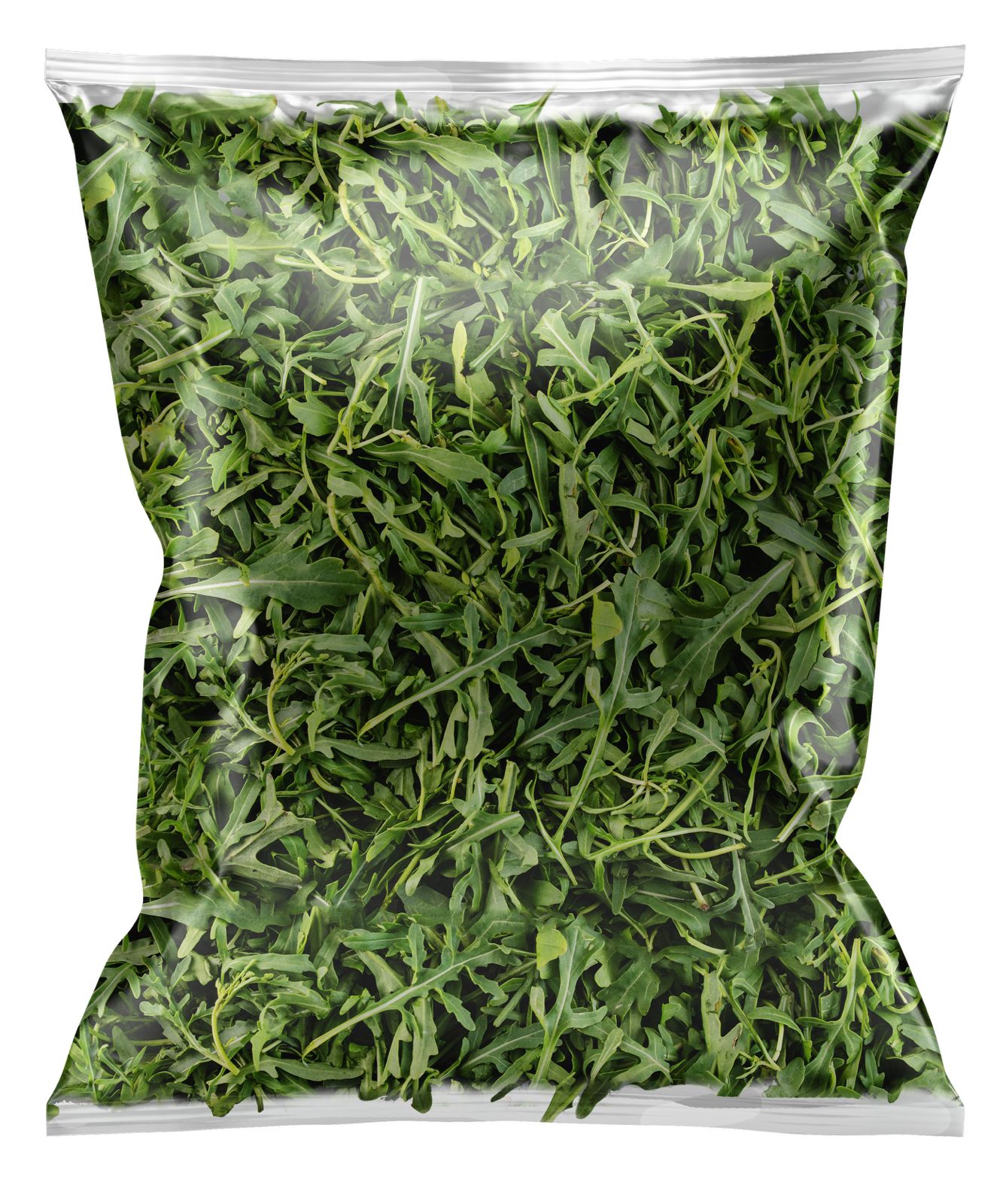 Arugula 300 gr  (caja con 9 piezas)